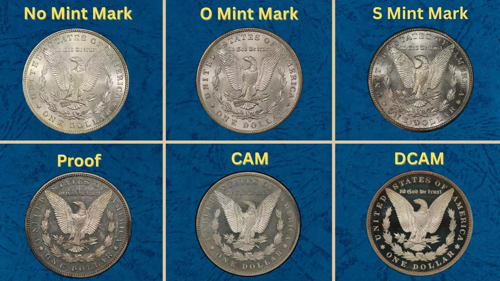 Collection of 1898 Morgan Silver Dollars from Philadelphia, New Orleans, and San Francisco mints showing all three mint mark varieties